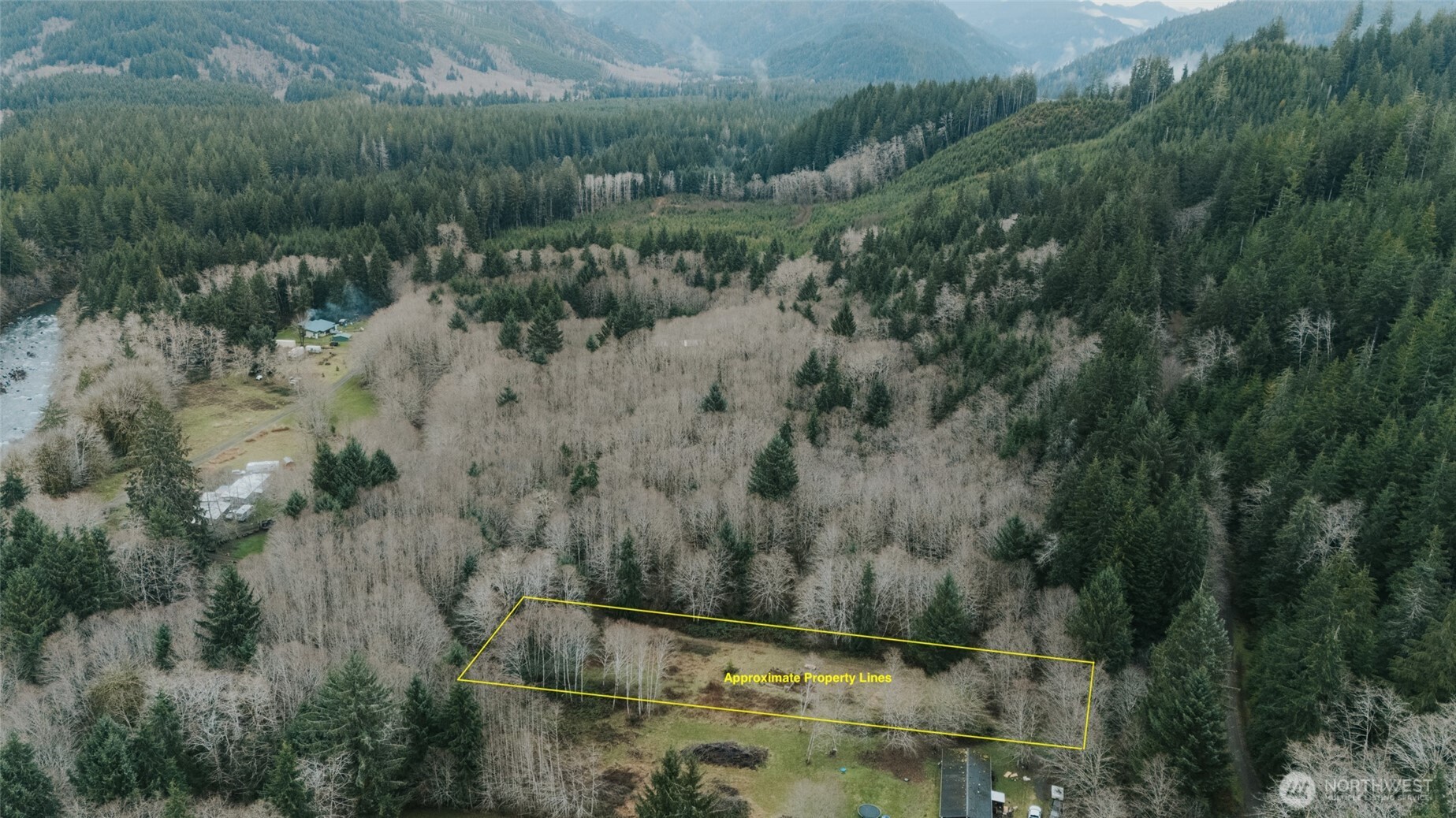 215 Elk Creek Ridge Road Forks, WA 98331 - Photo 2 of 37 Gallery Image 2