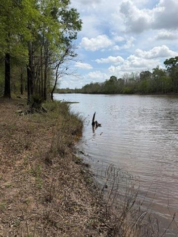 0 Rigolette Road Pineville, LA 71360 - Photo 1 of 16 Gallery Image 1