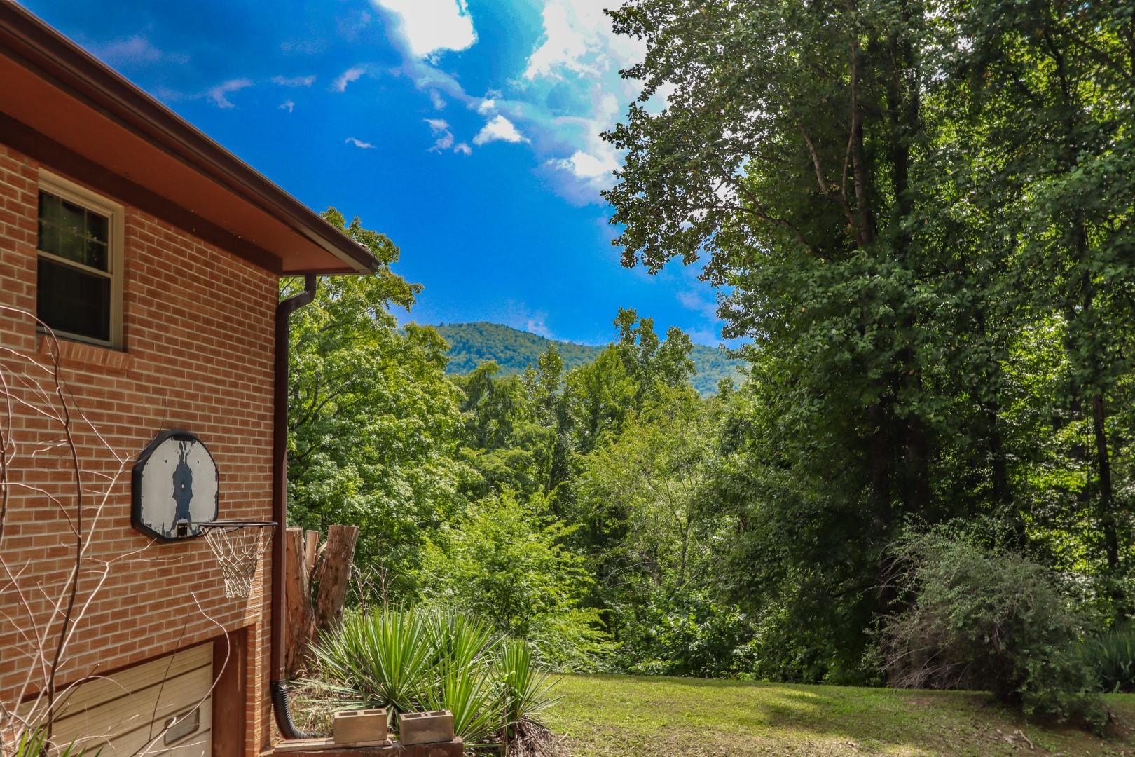 240 Greasy Cove Road Cosby, TN 37722 - Photo 8 of 32 7