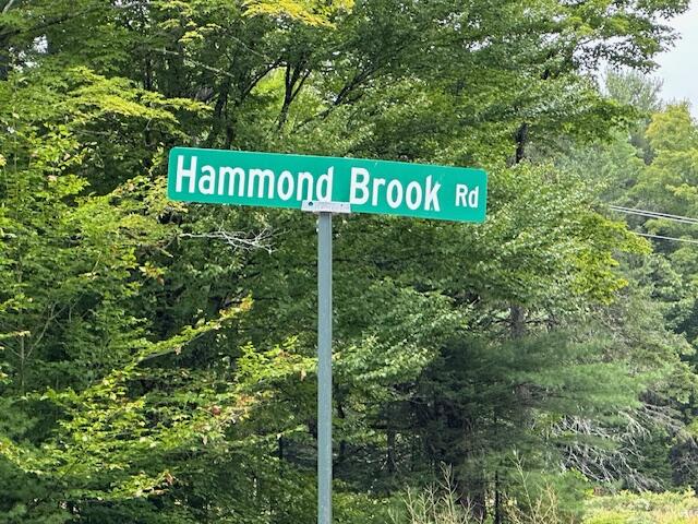 Lot #7 Hammond Brook Road Monson, ME 04464 - Photo 2 of 16