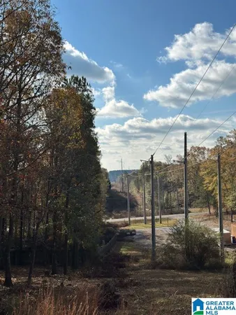 $29,900 | 113 Crest Drive, Unit 1, Sterrett, AL 35147