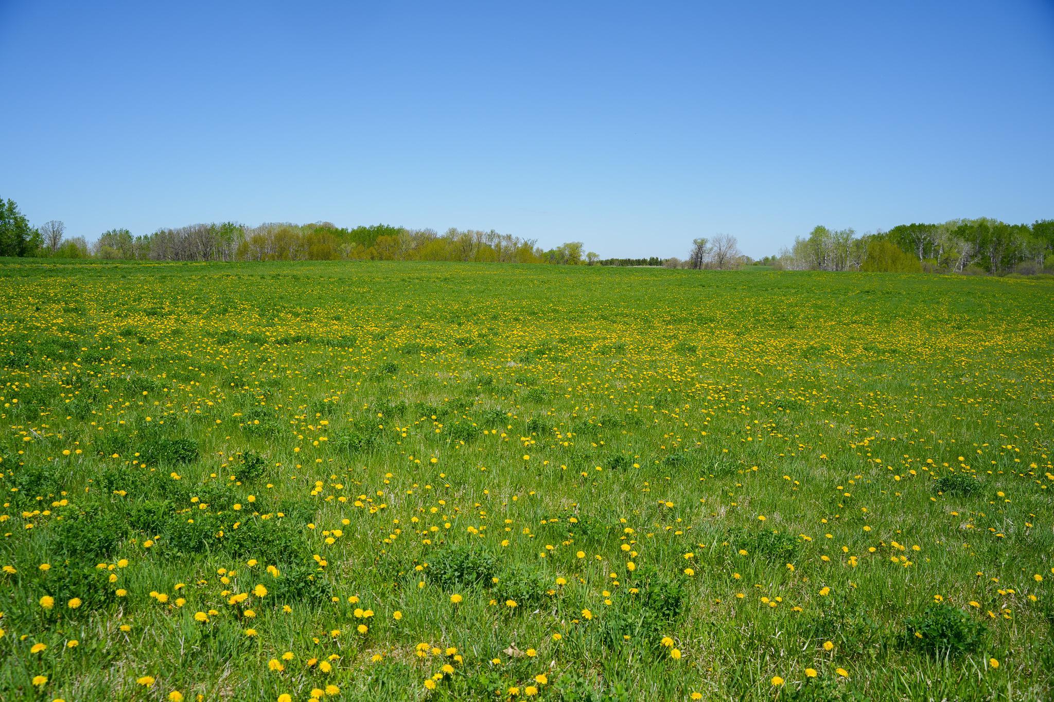 Tbd 140 Street Frazee, MN 56544 - Photo 49 of 149