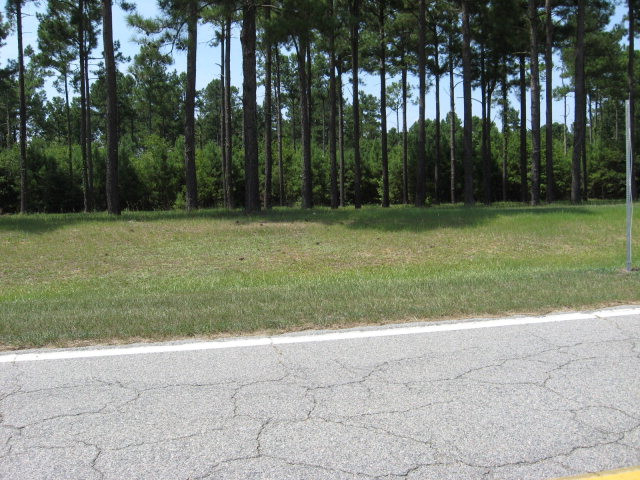 4 Holes Road Orangeburg, SC 29115 - Photo 1 of 1 Main View