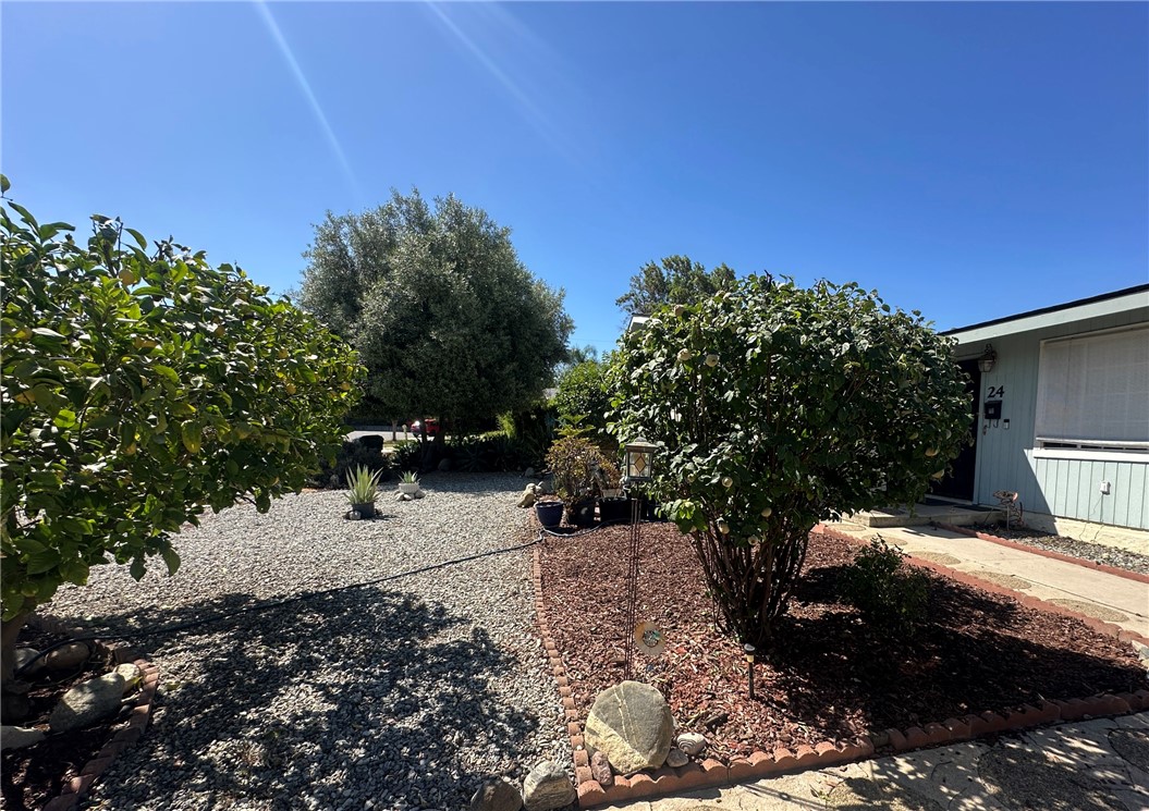 24 South Ash Street Redlands, CA 92373 - Photo 3 of 18 a view of a backyard with plants and trees