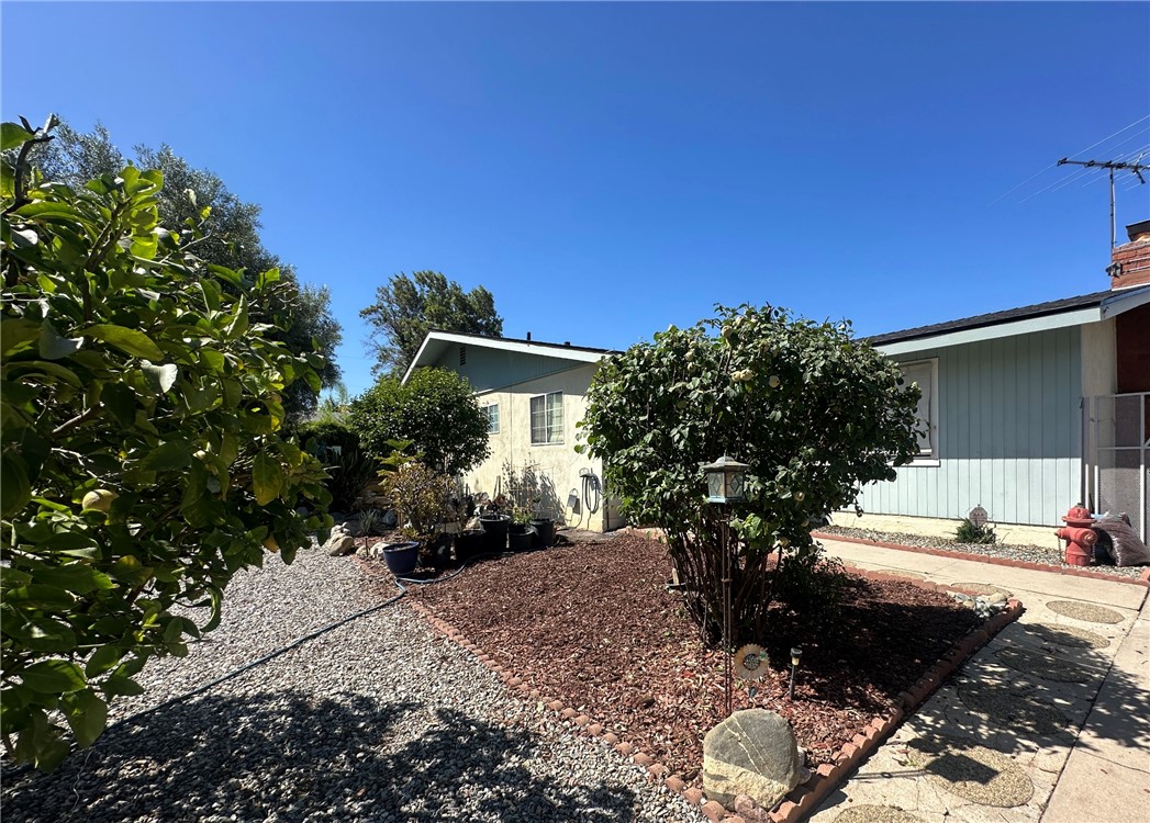24 South Ash Street Redlands, CA 92373 - Photo 4 of 18 a view of a yard with a tree