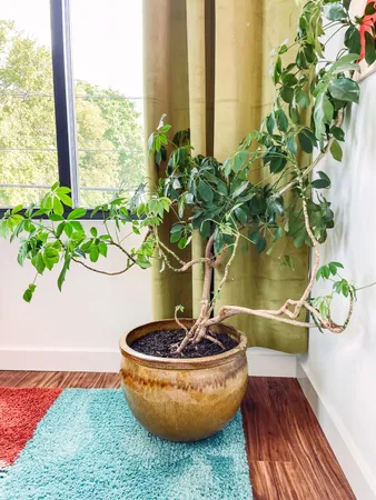 $3,449,000 | 916 Buchanan Street, Nashville, TN 37208