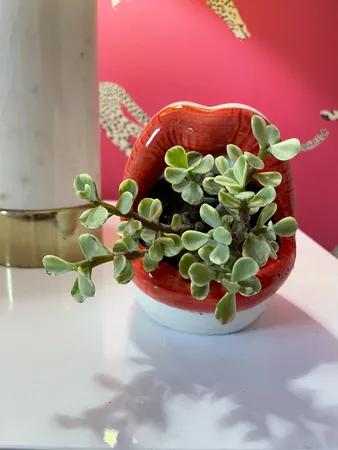 $3,449,000 | 916 Buchanan Street, Nashville, TN 37208