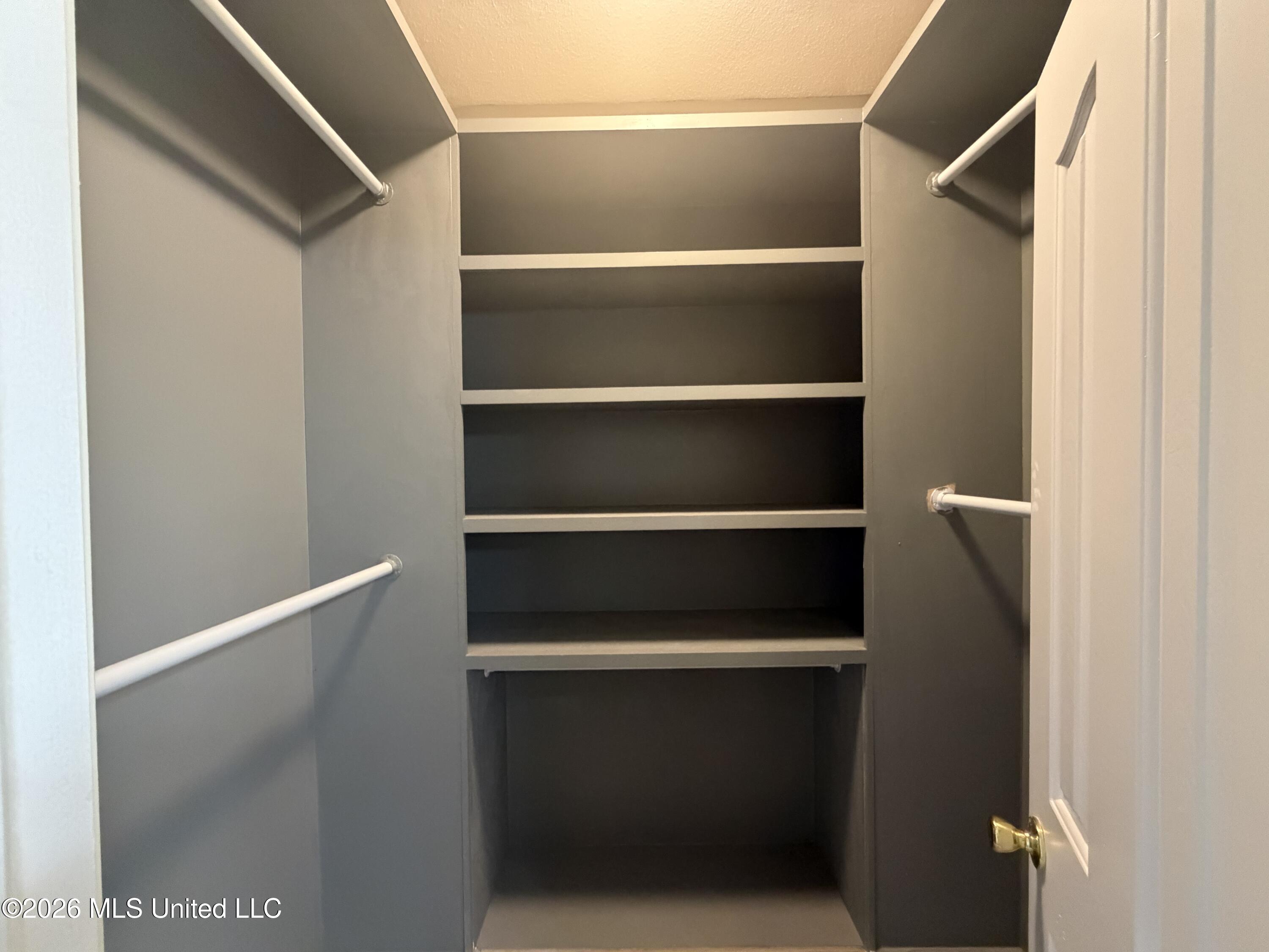 7051 Maplewood Road Olive Branch, MS 38654 - Photo 12 of 23 Primary closet