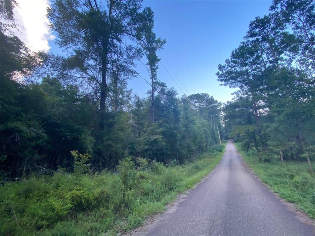 0 A C Crawford Road Bush, LA 70431 - Photo 1 of 6 Gallery Image 1