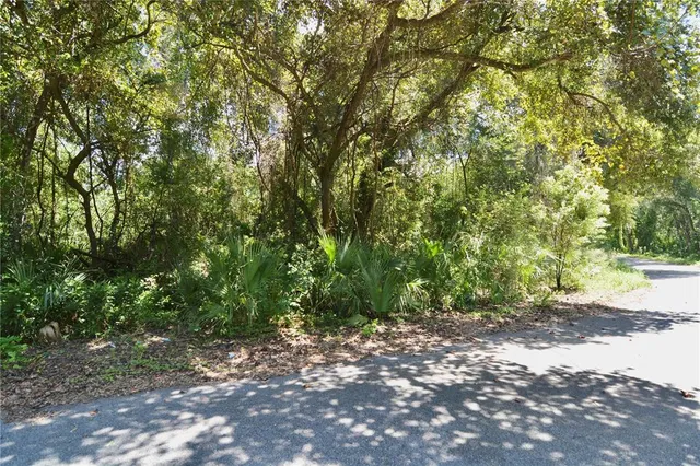 $150,000 | 12 Pine Forest Circle, Crescent City, FL 32112