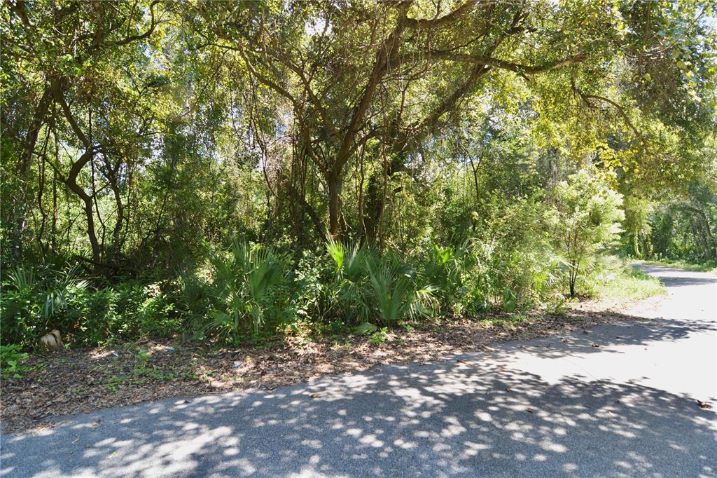 12 Pine Forest Circle Crescent City, FL 32112 - Photo 20 of 29