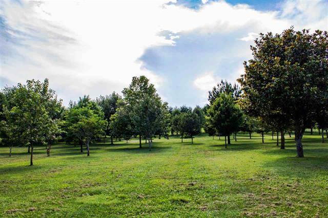 2449 Tarr Road Talbott, TN 37877 - Photo 31 of 32 FRUIT TREES & BUSHES