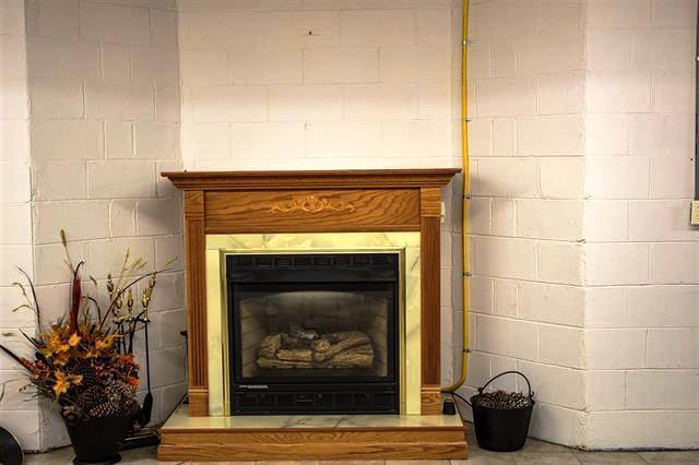 2449 Tarr Road Talbott, TN 37877 - Photo 8 of 32 FIREPLACE
