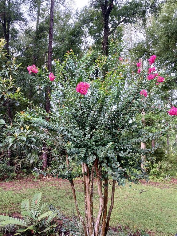 19786 Southwest 85th Loop Dunnellon, FL 34432 - Photo 23 of 91 Gallery Image 23