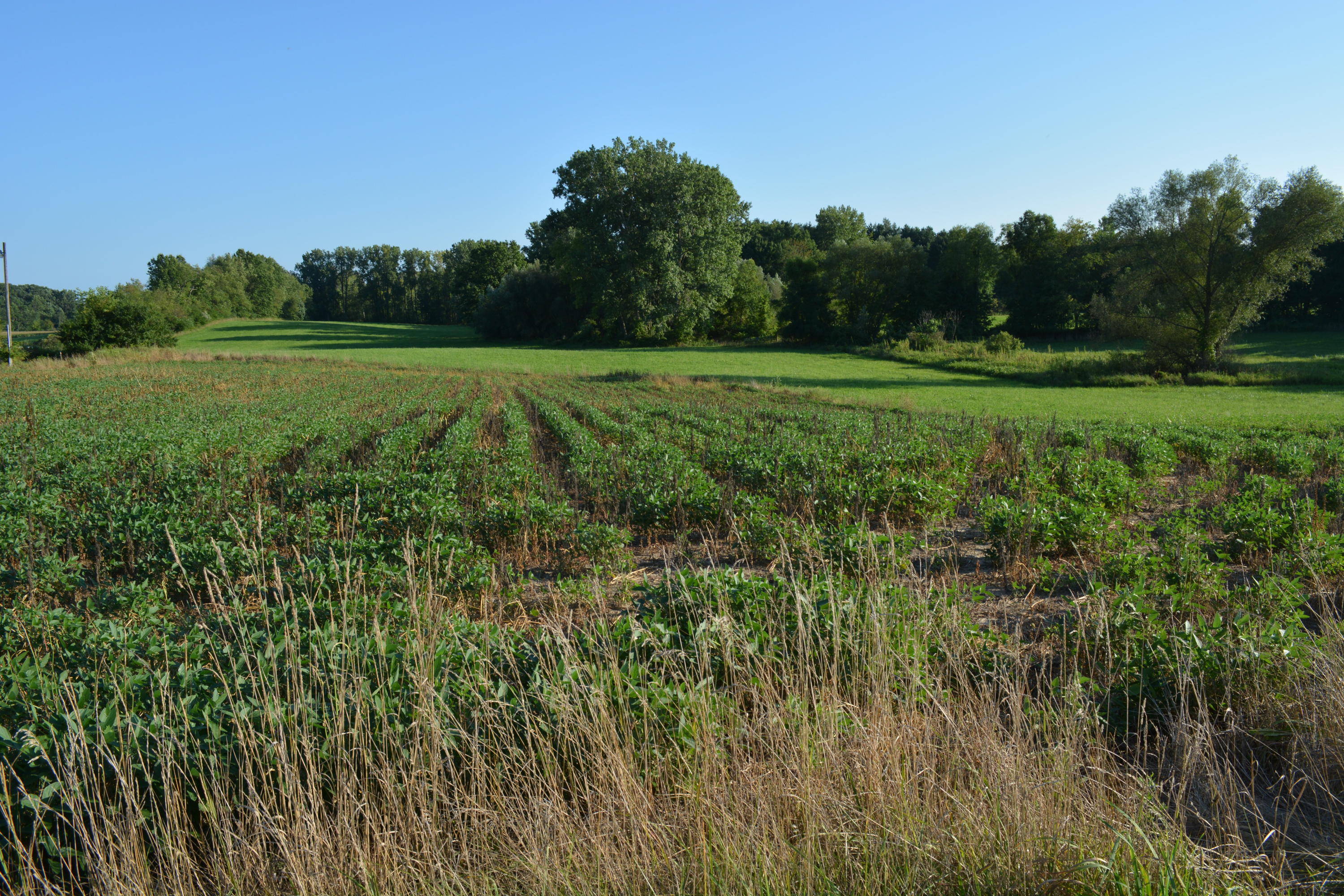 0 East Galien Buchanan Road Buchanan, MI 49107 - Photo 2 of 5 DSC_2103