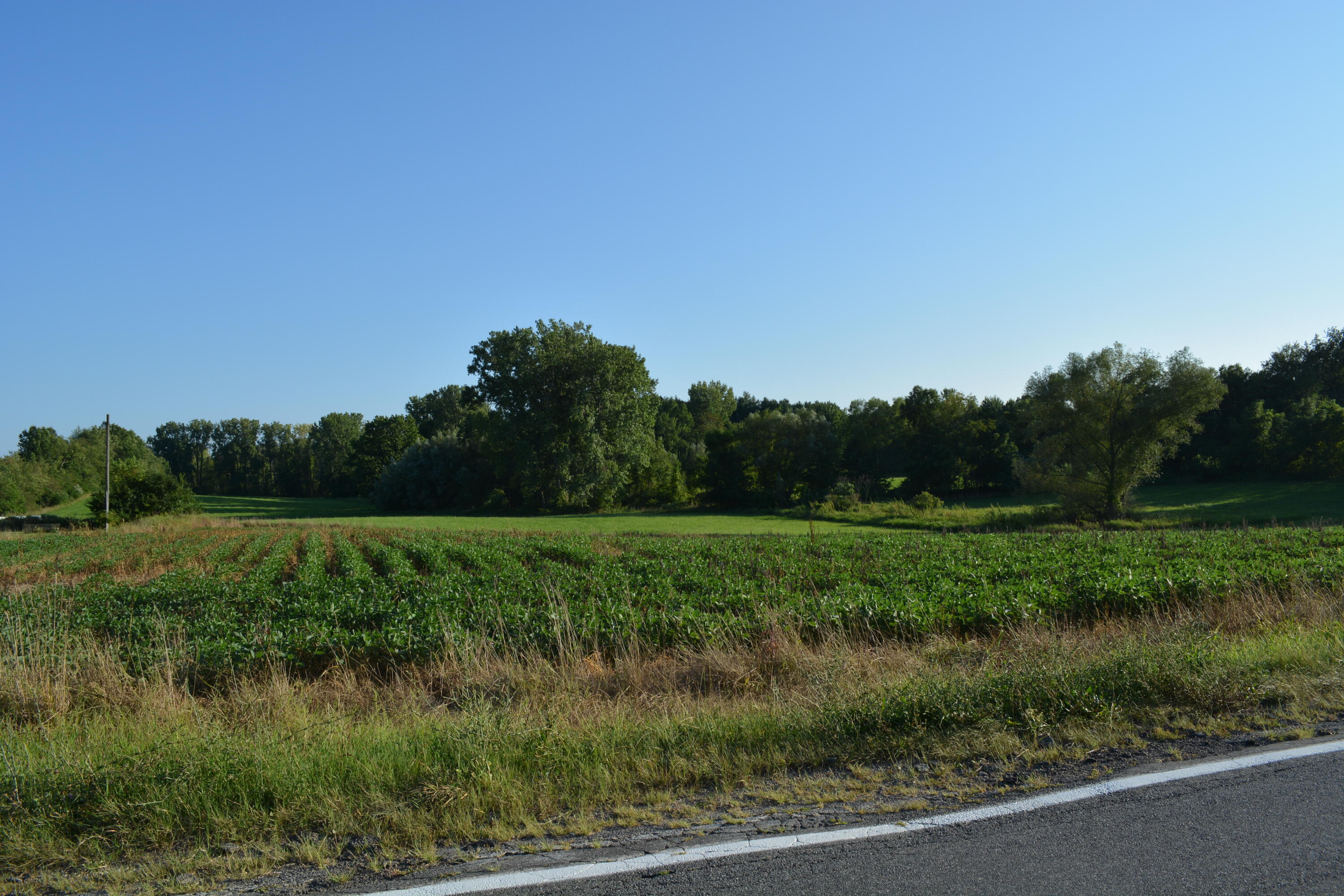 0 East Galien Buchanan Road Buchanan, MI 49107 - Photo 3 of 5 DSC_2102