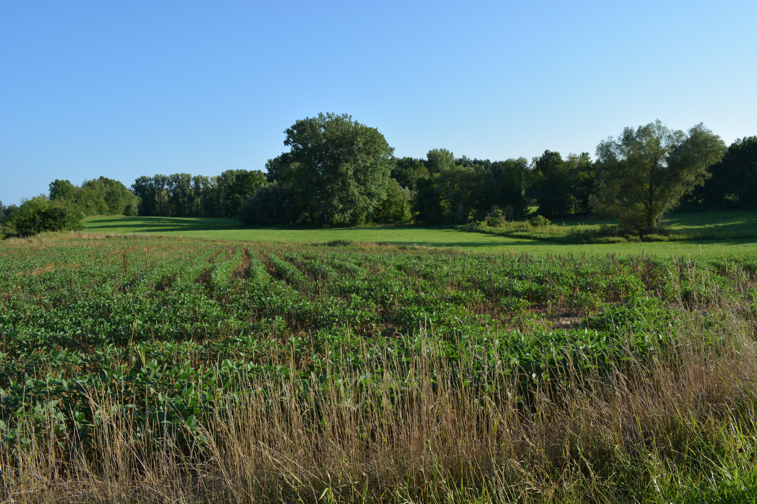 0 East Galien Buchanan Road Buchanan, MI 49107 - Photo 4 of 5 DSC_2104