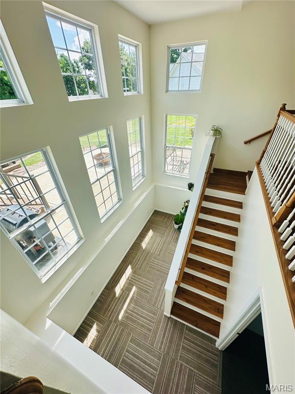 227 West Woodland Ridge Valmeyer, IL 62295 - Photo 54 of 54