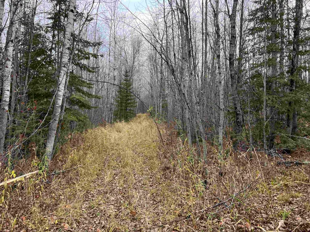 $452,000 | 55260 Highway 63, Grand View, WI 54856