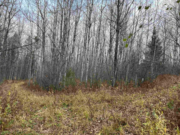 $400,000 | 55260 Highway 63, Grand View, WI 54856