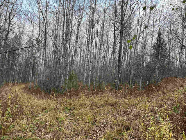 $452,000 | 55260 Highway 63, Grand View, WI 54856