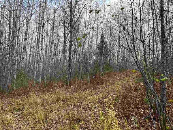 $400,000 | 55260 Highway 63, Grand View, WI 54856