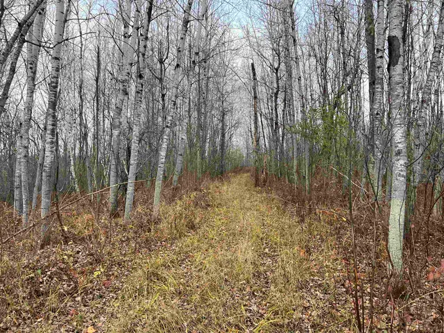 $452,000 | 55260 Highway 63, Grand View, WI 54856