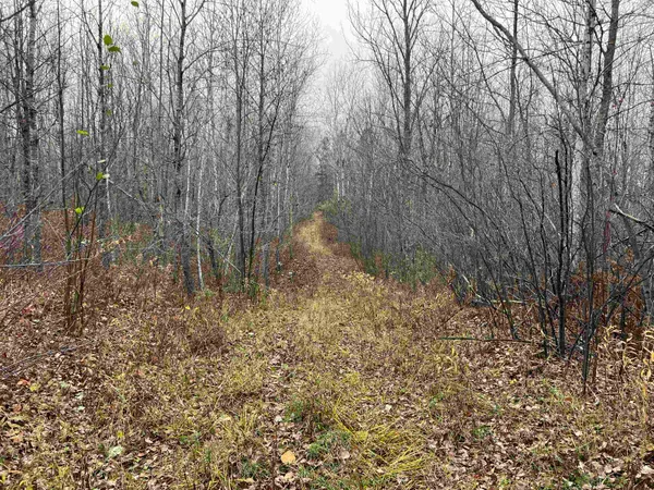 $400,000 | 55260 Highway 63, Grand View, WI 54856