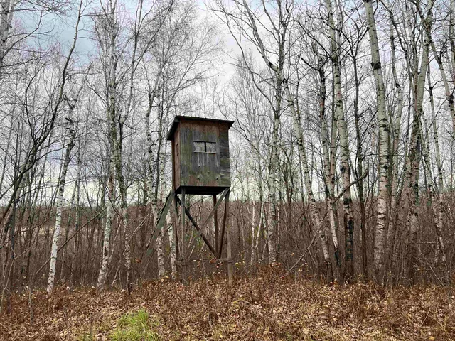 $452,000 | 55260 Highway 63, Grand View, WI 54856