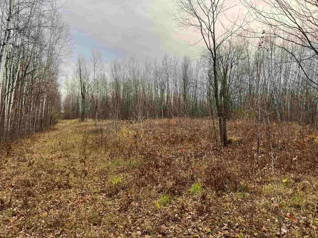 $452,000 | 55260 Highway 63, Grand View, WI 54856