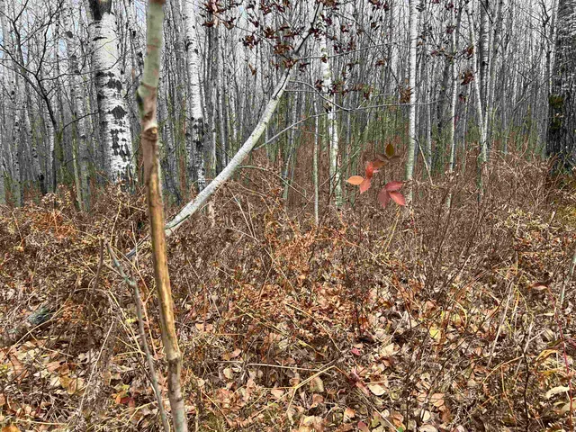 $452,000 | 55260 Highway 63, Grand View, WI 54856