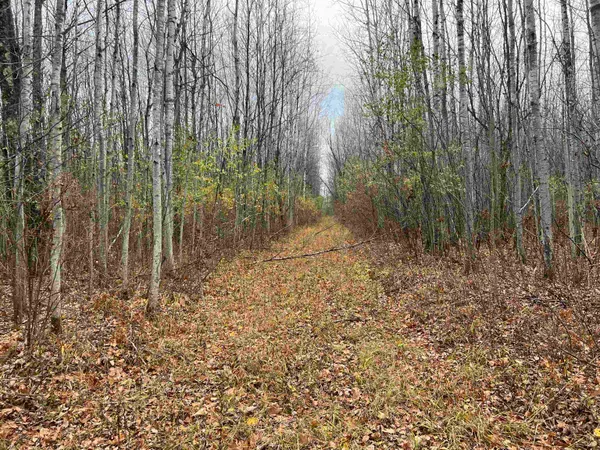 $400,000 | 55260 Highway 63, Grand View, WI 54856