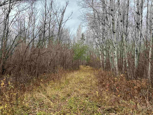 $452,000 | 55260 Highway 63, Grand View, WI 54856