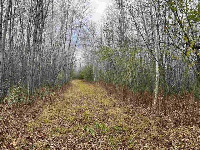 $452,000 | 55260 Highway 63, Grand View, WI 54856