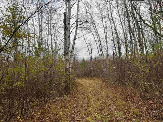 $452,000 | 55260 Highway 63, Grand View, WI 54856