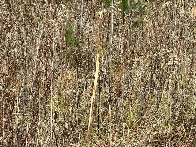 $452,000 | 55260 Highway 63, Grand View, WI 54856