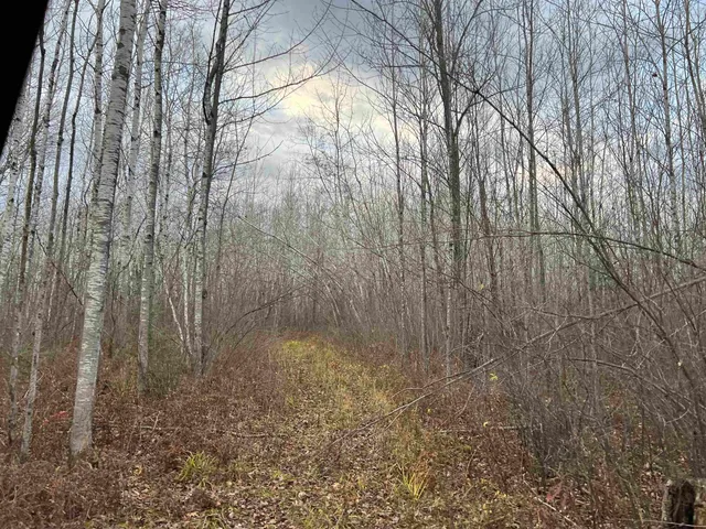 $452,000 | 55260 Highway 63, Grand View, WI 54856