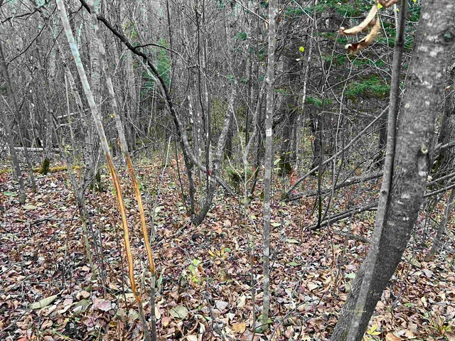 $452,000 | 55260 Highway 63, Grand View, WI 54856