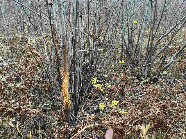 $452,000 | 55260 Highway 63, Grand View, WI 54856