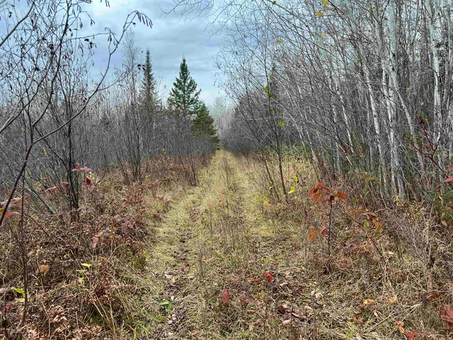 $452,000 | 55260 Highway 63, Grand View, WI 54856