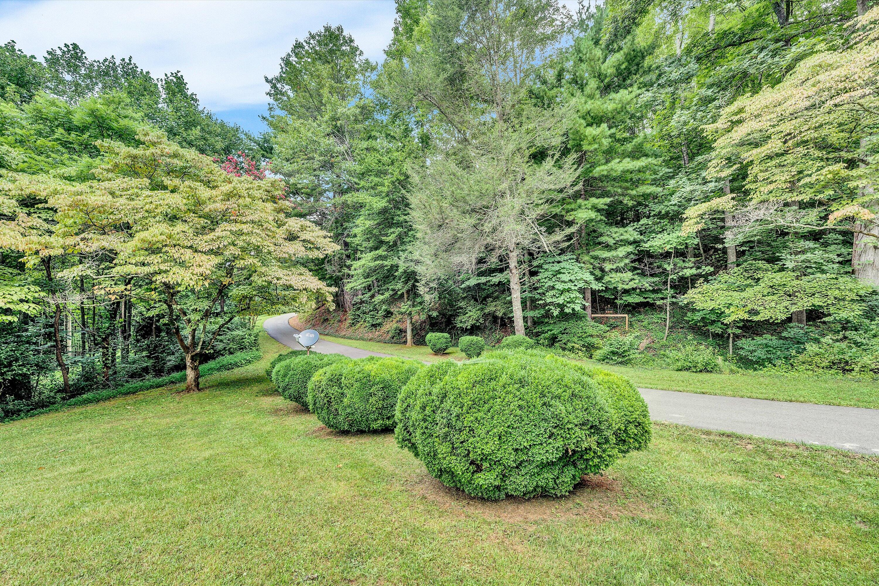 7776 Franklin Road Boones Mill, VA 24065 - Photo 33 of 47 33-080620240032