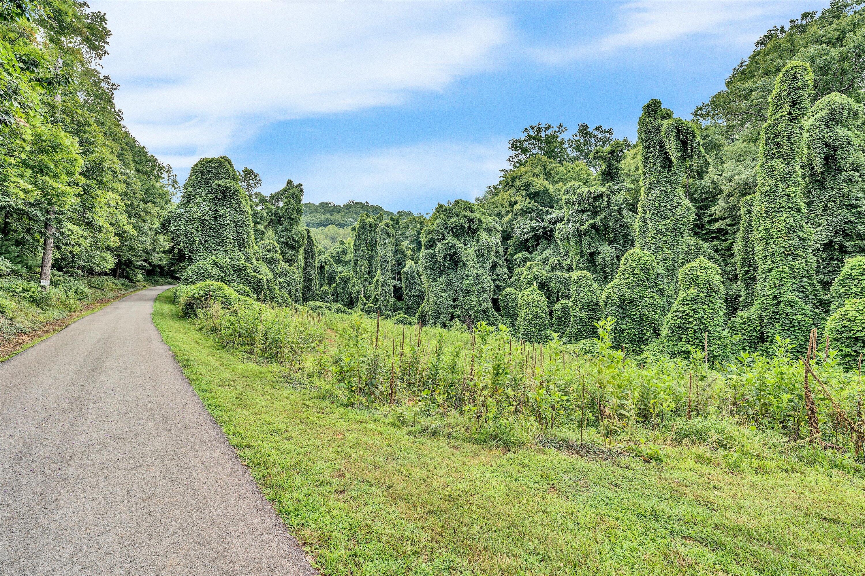 7776 Franklin Road Boones Mill, VA 24065 - Photo 37 of 47 37-080620240036