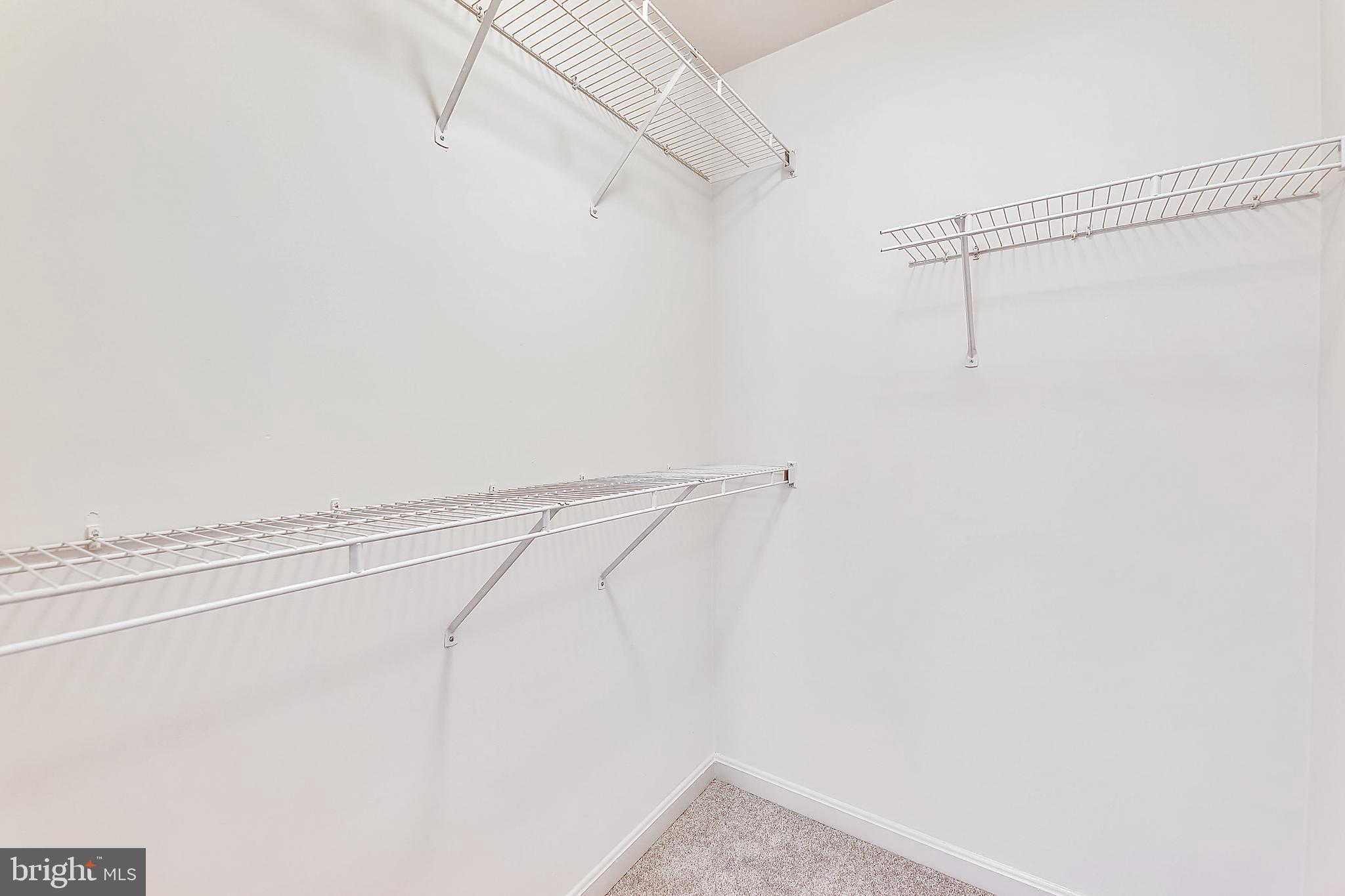 3804 Colony Point Place Edgewater, MD 21037 - Photo 19 of 34 Primary Closet