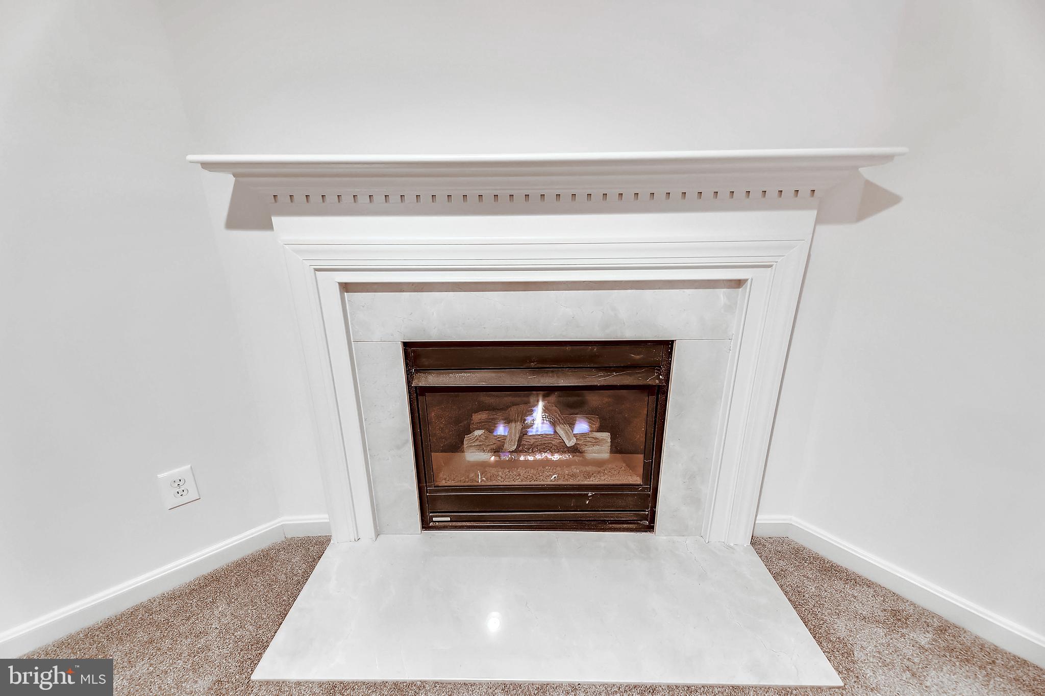 3804 Colony Point Place Edgewater, MD 21037 - Photo 29 of 34 Fireplace in Family Room