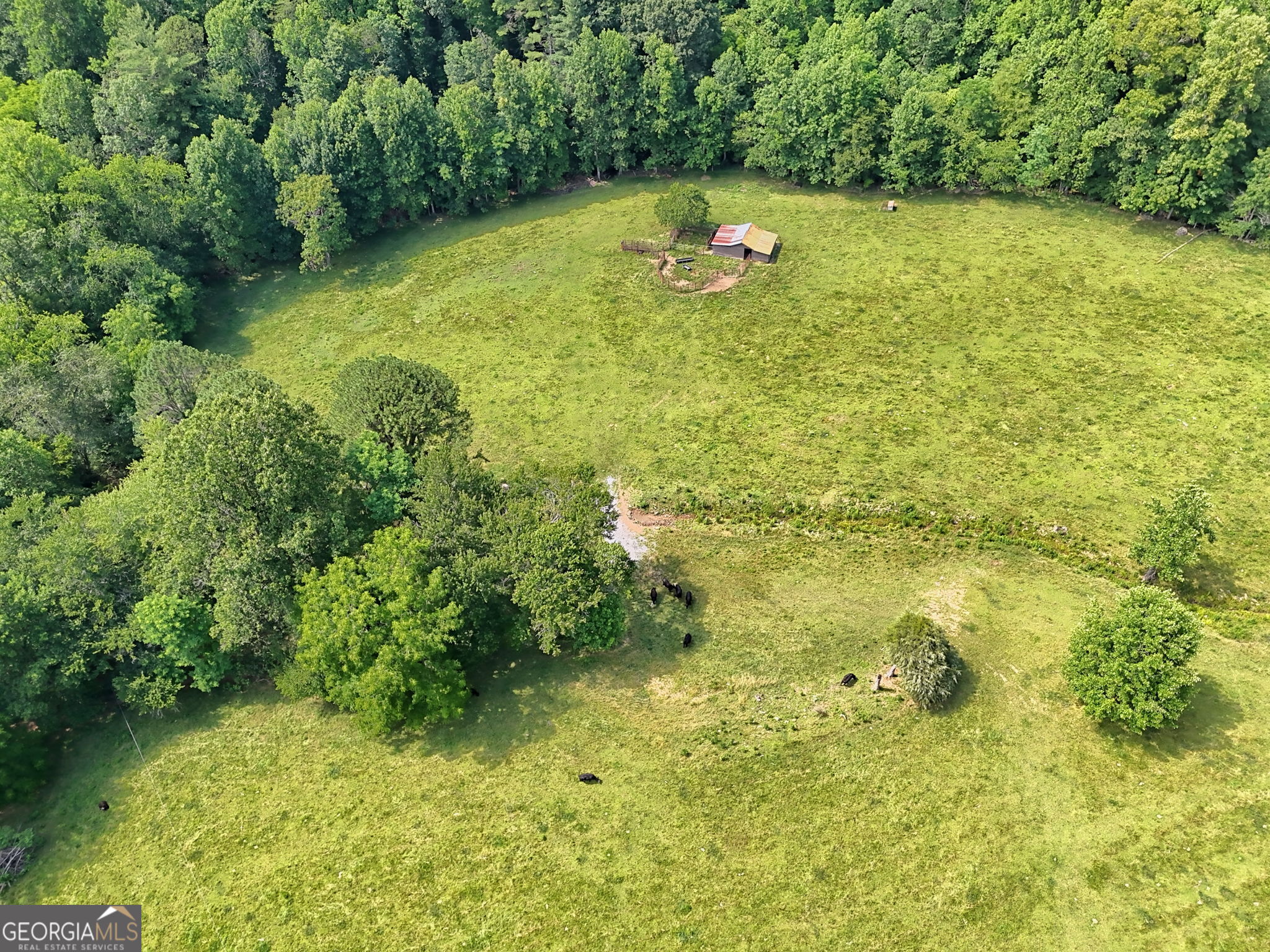 0 Ponderosa Road Rabun Gap, GA 30568 - Photo 12 of 20