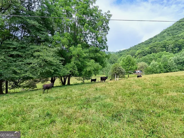 $350,000 | 0 Ponderosa Road, Rabun Gap, GA 30568