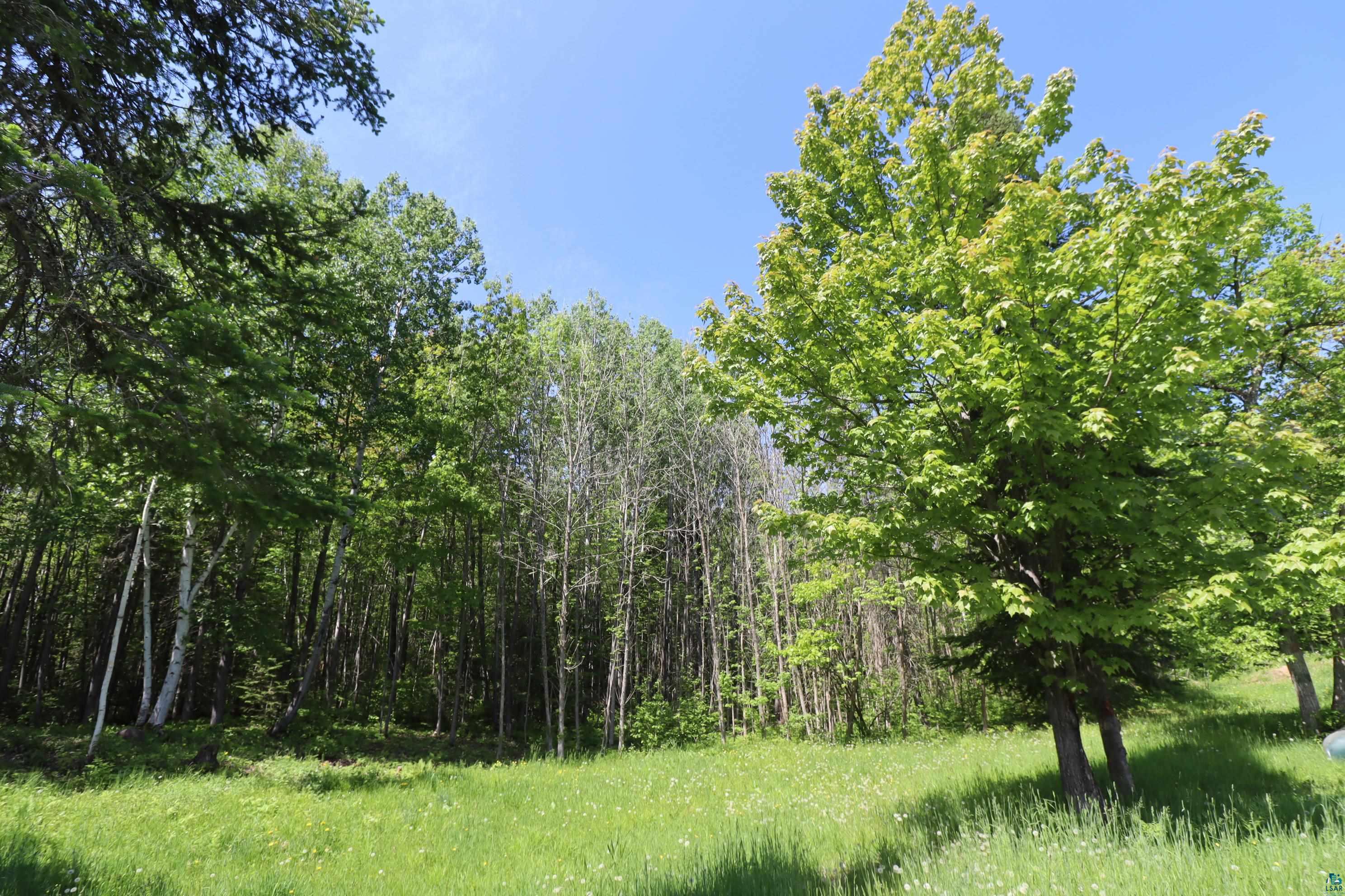 36945 State Highway 13 Bayfield, WI 54814 - Photo 13 of 24