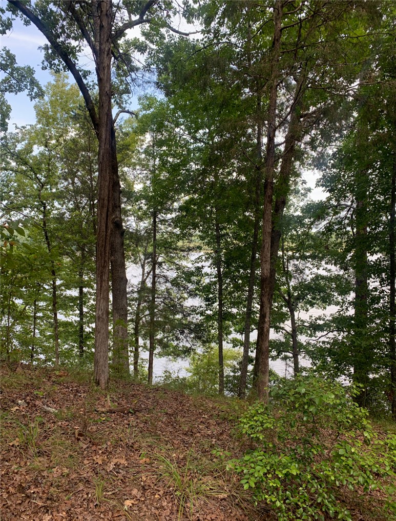 333 Terrapin Pointe Road, Unit POINTE Hodges, SC 29653 - Photo 5 of 5