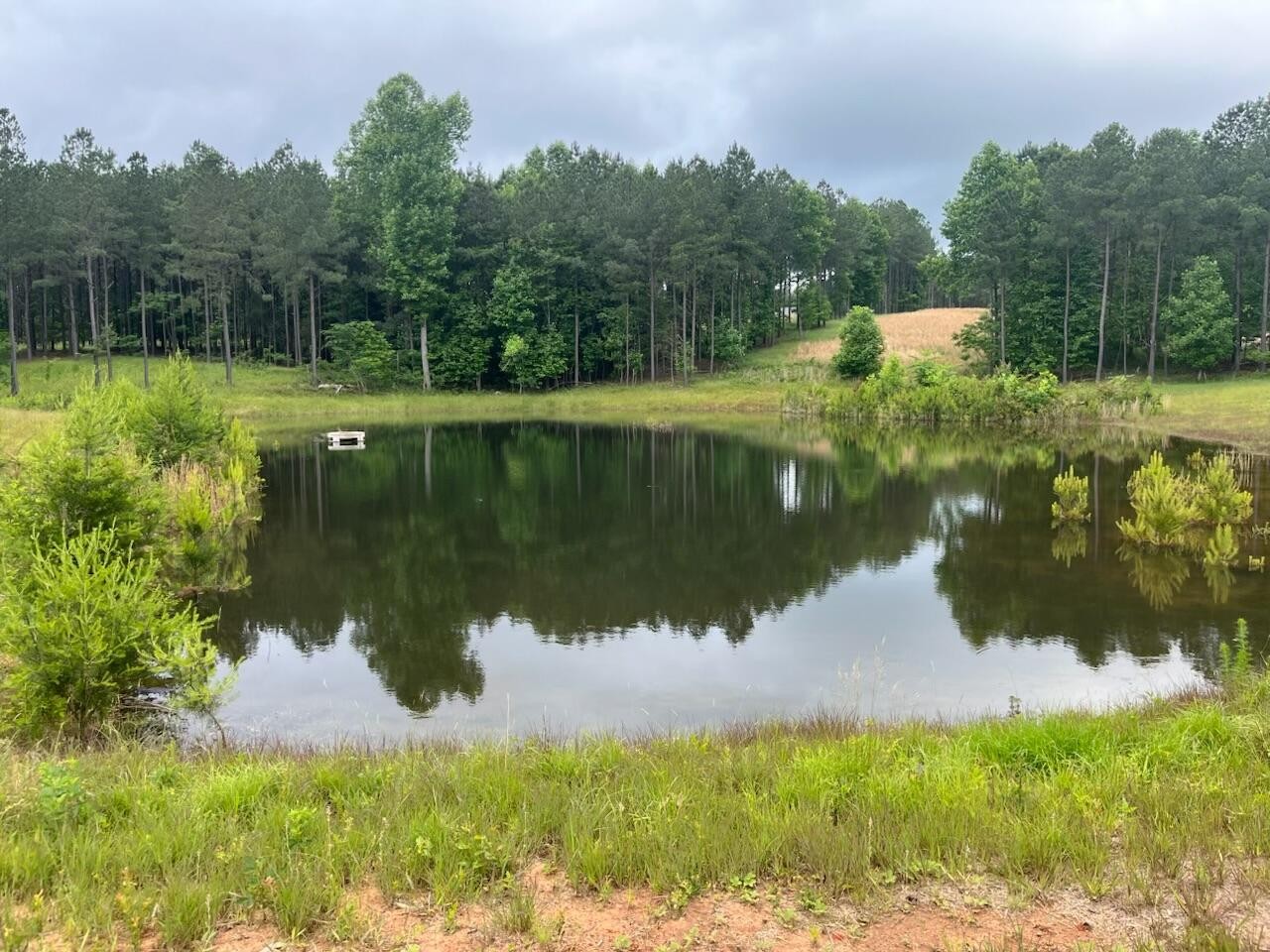 350 Crockett Loop Jasper, TN 37347 - Photo 13 of 55 a view of a lake from a yard