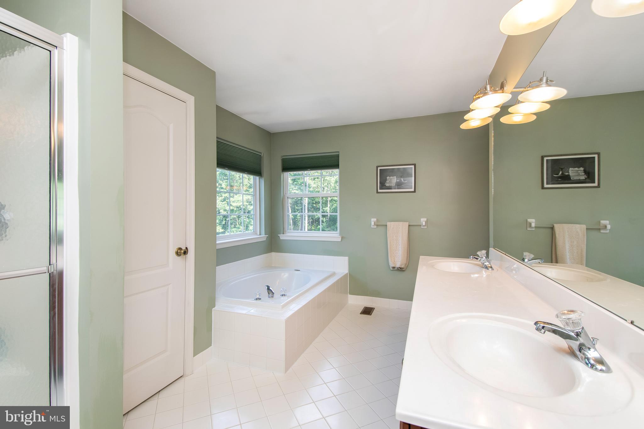17 Nelson Drive Medford, NJ 08055 - Photo 23 of 47 Master Bath